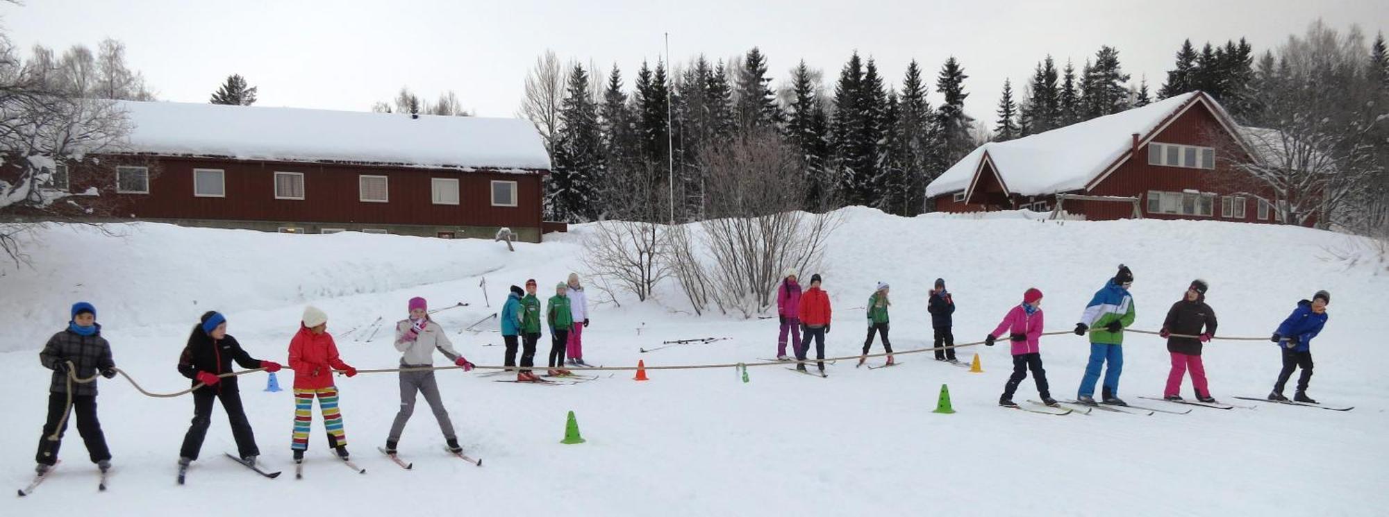 Camp Sjusjoen Hotel Mesnali Kültér fotó