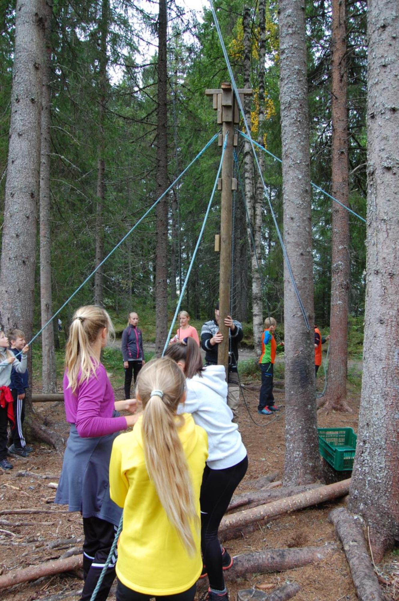 Camp Sjusjoen Hotel Mesnali Kültér fotó